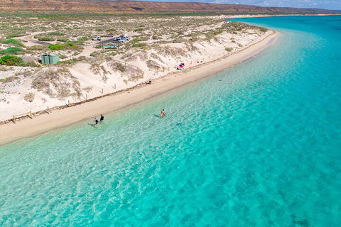 Ningaloo In A Day - Full Day Hike And Snorkel Tour With Lunch - Tourism Noosa 0