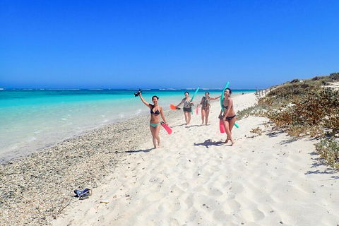 Ningaloo In A Day - Full Day Hike And Snorkel Tour With Lunch - Tourism Noosa 1
