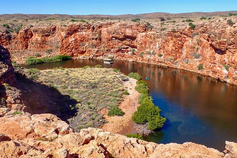 Ningaloo In A Day - Full Day Hike And Snorkel Tour With Lunch - Tourism Noosa 2