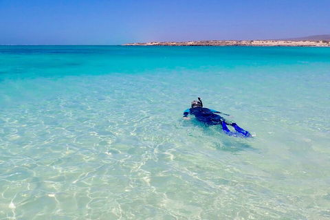 Ningaloo In A Day - Full Day Hike And Snorkel Tour With Lunch - Tourism Noosa 4