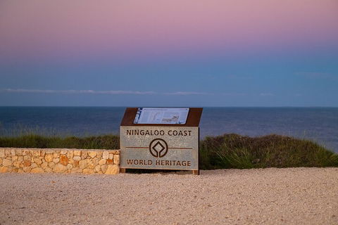 Ningaloo In A Day - Full Day Hike And Snorkel Tour With Lunch - Tourism Noosa 5