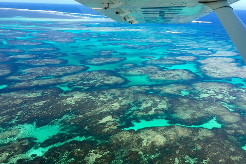Shipwreck Special Full Day Tour Of The Abrolhos Islands - Tourism Noosa 1