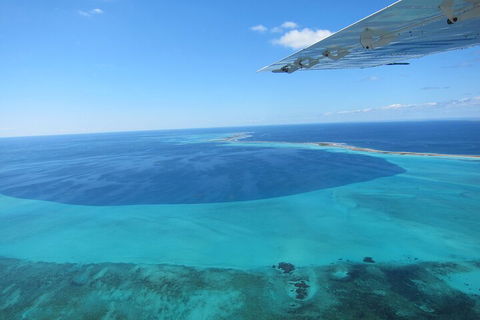 Shipwreck Special Full Day Tour Of The Abrolhos Islands - Tourism Noosa 2
