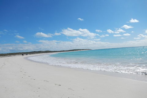 Shipwreck Special Nature Tour/Half Day Tour - Tourism Noosa 0