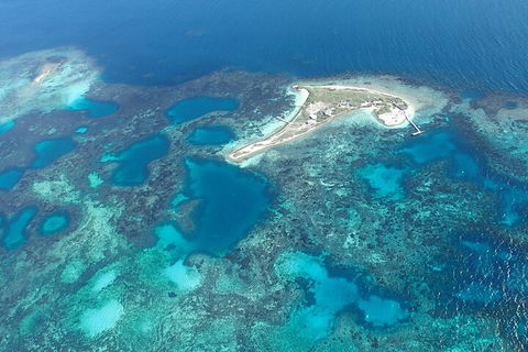 Shipwreck Special Nature Tour/Half Day Tour - Tourism Noosa 5