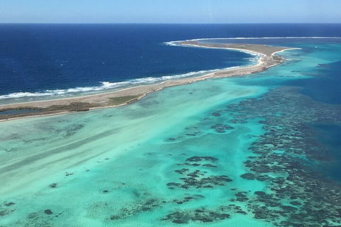 Pink Lake + Abrolhos Islands Nature Tour - Tourism Noosa 2