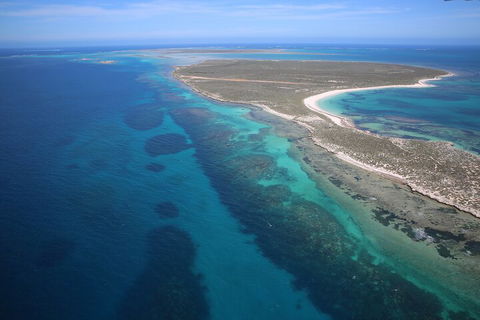Pink Lake + Abrolhos Islands Scenic Flight - Tourism Noosa 0