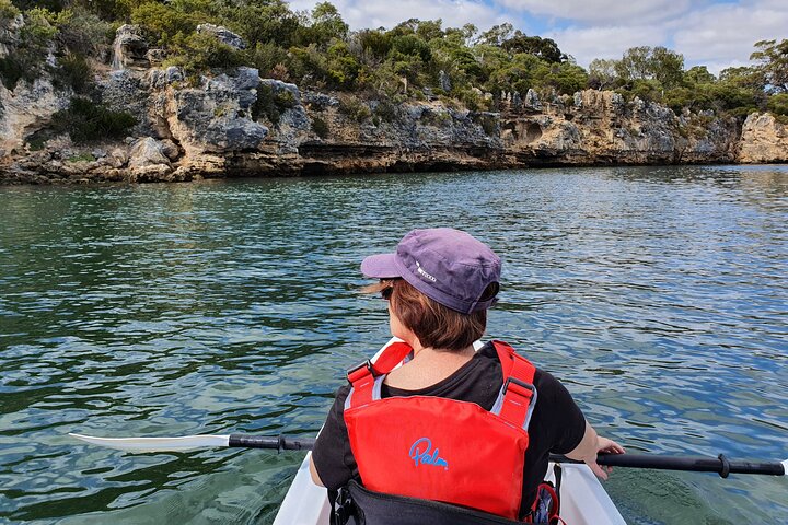 Fremantle WA Tourism Noosa