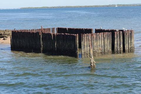 Best Of Moreton Bay Cruise - Tourism Noosa 1