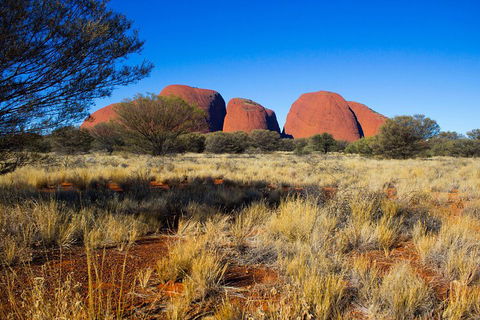 Kata Tjuta Sunrise And Valley Of The Winds Half-Day Trip - Tourism Noosa 1
