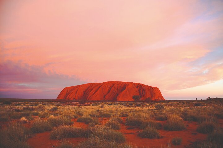Anatye NT Tourism Noosa