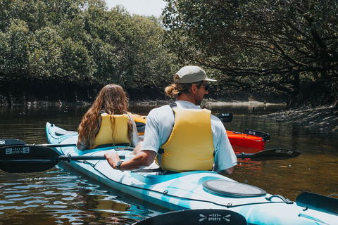 Kayak Tour In Adelaide Dolphin Sanctuary - Tourism Noosa 2
