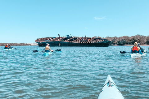 Kayak Tour In Adelaide Dolphin Sanctuary - Tourism Noosa 3