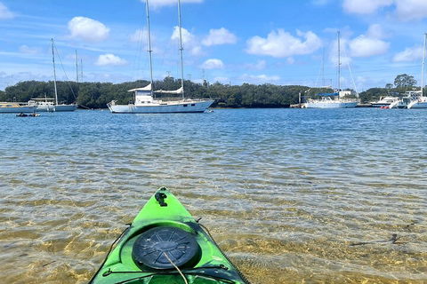 Kayak Tour In Adelaide Dolphin Sanctuary - Tourism Noosa 4