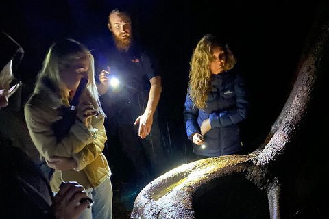Evening Rainforest & Glow Worm Experience - Tourism Noosa 2