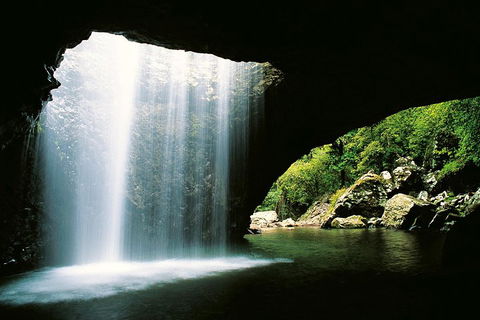 Natural Bridge & Springbrook Waterfalls Tour - Tourism Noosa 0