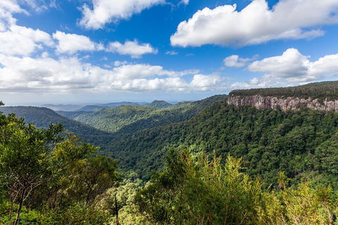 Natural Bridge & Springbrook Waterfalls Tour - Tourism Noosa 1