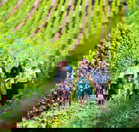 Tasmanian Wine Tour - Tourism Noosa