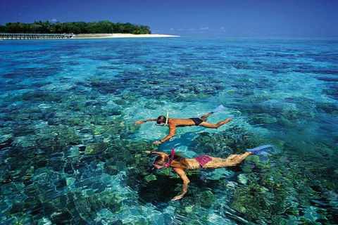 Green Island Day Trip From Cairns - Tourism Noosa 5
