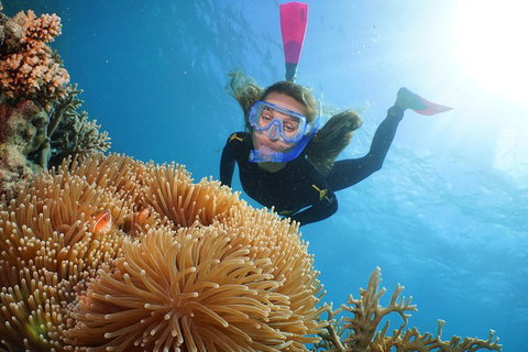 Quicksilver Outer Great Barrier Reef Snorkel Cruise From Port Douglas - Tourism Noosa 2