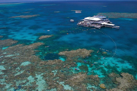 Quicksilver Outer Great Barrier Reef Snorkel Cruise From Port Douglas - Tourism Noosa 3