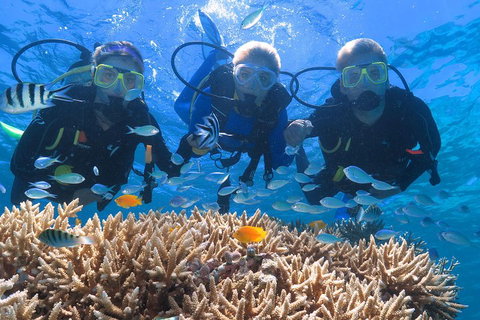 Quicksilver Outer Great Barrier Reef Snorkel Cruise From Port Douglas - Tourism Noosa 4