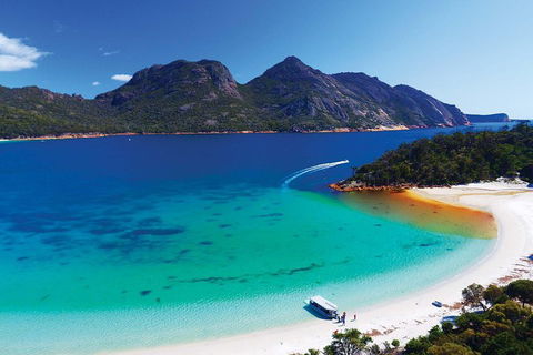 Wineglass Bay Private Charter Service - Tourism Noosa 1