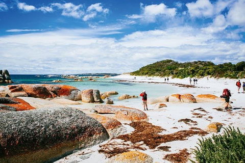 Wineglass Bay Private Charter Service - Tourism Noosa 3