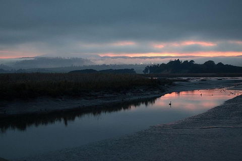 Launceston Private Charter Service - Tourism Noosa 1