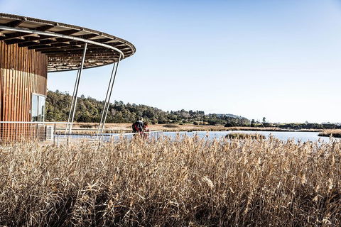 Launceston Private Charter Service - Tourism Noosa 2