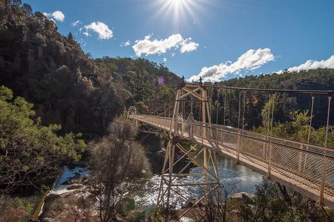 Launceston Private Charter Service - Tourism Noosa 5