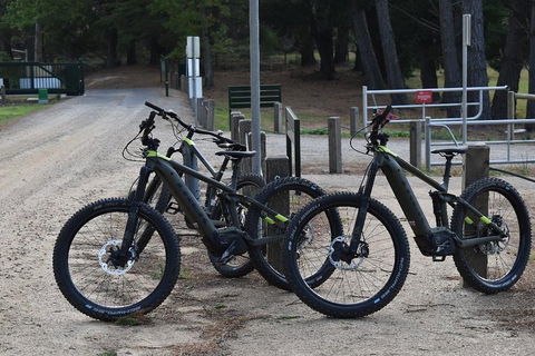 Fully Guided E-Mountain Bike Tour On The Beautiful Mornington Peninsula. - Tourism Noosa 2