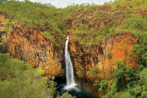 7 Days Darwin, Kakadu National Park, Katherine Gorge Touring Package - Tourism Noosa 3