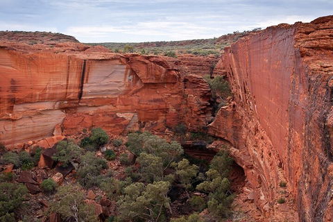 Uluru, Kata Tjuta And Kings Canyon Camping Safari From Ayers Rock - Tourism Noosa 1