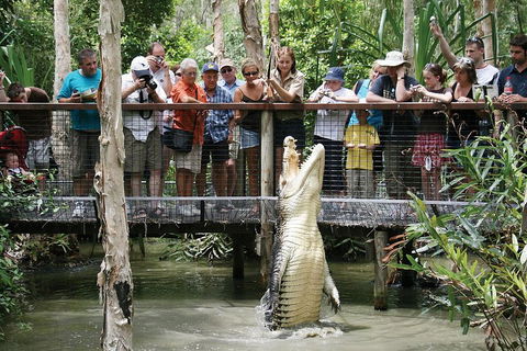 Hartley's Crocodile Adventure Half-Day Tour - Tourism Noosa 1