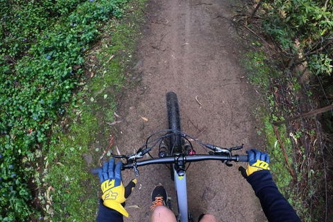 Explore Downhill Mountain In 3-Hour Bike Tour From Hobart - Tourism Noosa 2