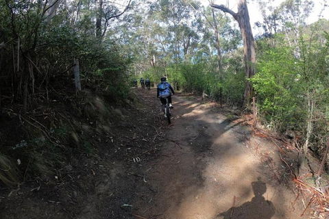 Explore Downhill Mountain In 3-Hour Bike Tour From Hobart - Tourism Noosa 3