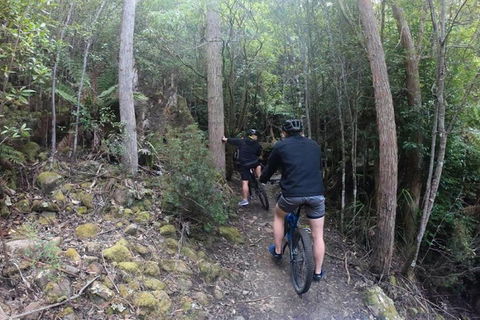 Explore Downhill Mountain In 3-Hour Bike Tour From Hobart - Tourism Noosa 4