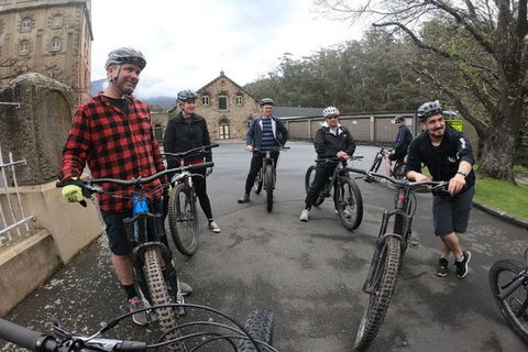 Explore Downhill Mountain In 3-Hour Bike Tour From Hobart - Tourism Noosa 5