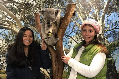 Australia Multi-City Attractions Pass - Tourism Noosa 3