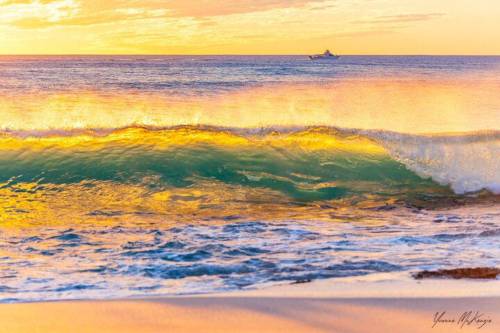  Tourism Noosa