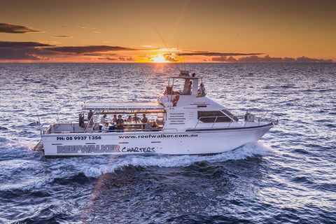 Kalbarri Sunset Coastal Cliff Cruise - Tourism Noosa 2