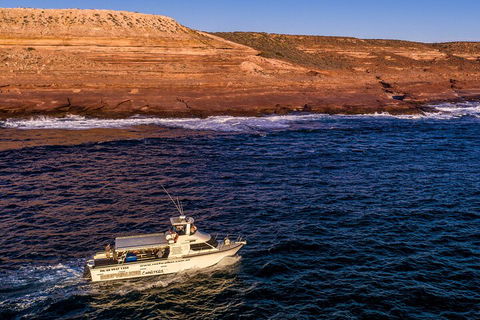 Kalbarri Sunset Coastal Cliff Cruise - Tourism Noosa 4