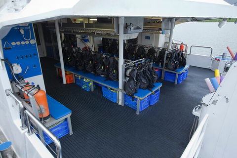 Silverswift Outer Great Barrier Reef Dive And Snorkel Cruise From Cairns - Tourism Noosa 0