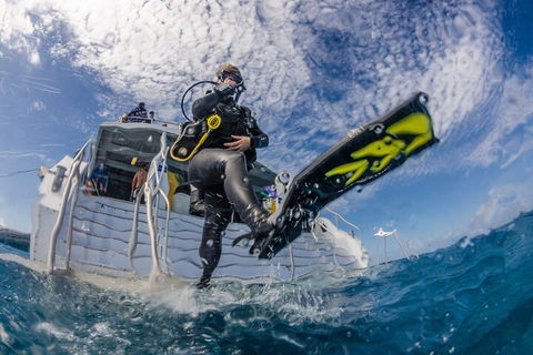 Silverswift Outer Great Barrier Reef Dive And Snorkel Cruise From Cairns - Tourism Noosa 1
