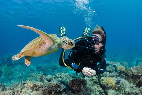 Silverswift Outer Great Barrier Reef Dive And Snorkel Cruise From Cairns - Tourism Noosa 2