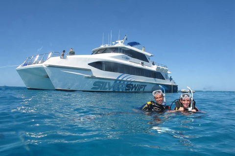 Silverswift Outer Great Barrier Reef Dive And Snorkel Cruise From Cairns - Tourism Noosa 4