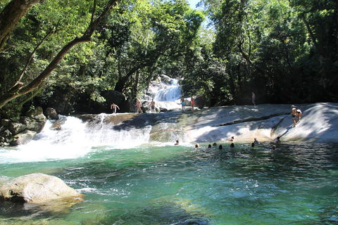Double Pack-Ancient Rainforest And Waterfalls! - Tourism Noosa 2