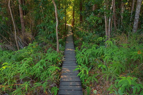 One Day Litchfield Park Adventures - Tourism Noosa 4