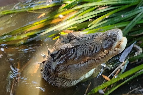 Litchfield Park Adventures And Jumping Crocodile Cruise + Butterfly Farm - Tourism Noosa 4